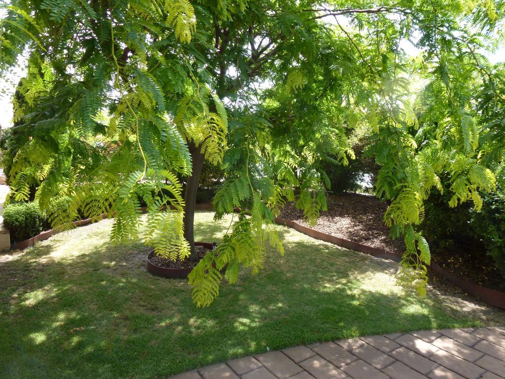 Colonial Motor Inn Bairnsdale Golden Chain Property Eksteriør billede
